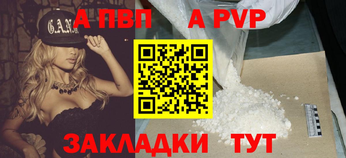 A PVP СК Луга